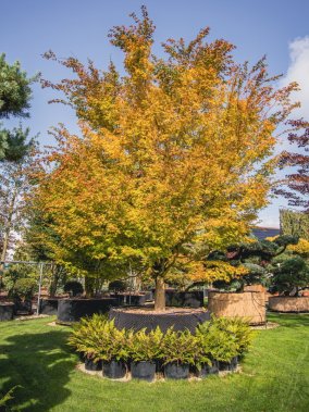 Professionnels & privés