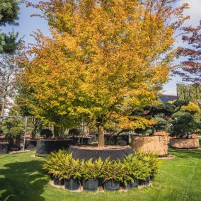 Professionnels & privés